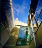 Terrace Rear